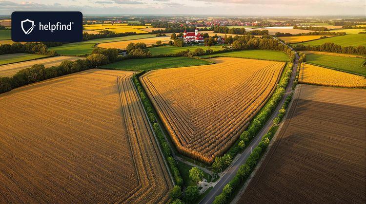 Przedłużenie moratorium na sprzedaż ziemi rolnej – klucz do ochrony polskiego rolnictwa i gospodarki